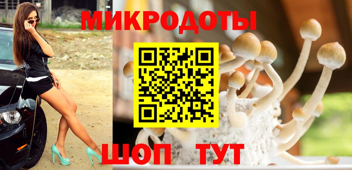 Галлюциногенные грибы Psilocybe  Вход с VPN  Псилоцибиновые грибы Cubensis  Волгоград 