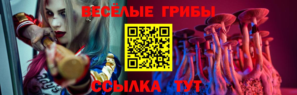 Псилоцибиновые грибы мицелий Волгоград